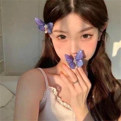 探索青年飞鸟记